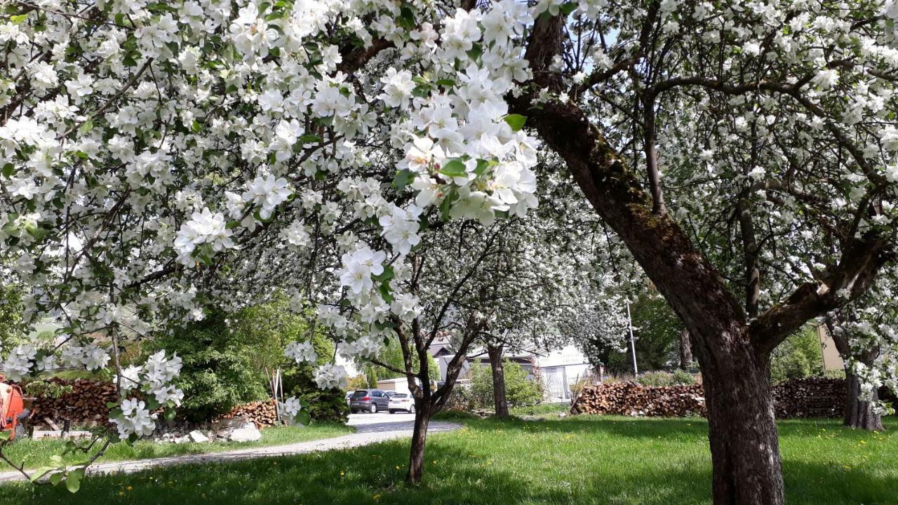 Veit * Aigen im Mühlkreis